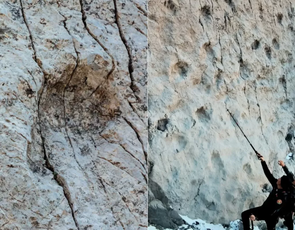 Thousands of 210-million-year-old dinosaur footprints discovered in Italy
