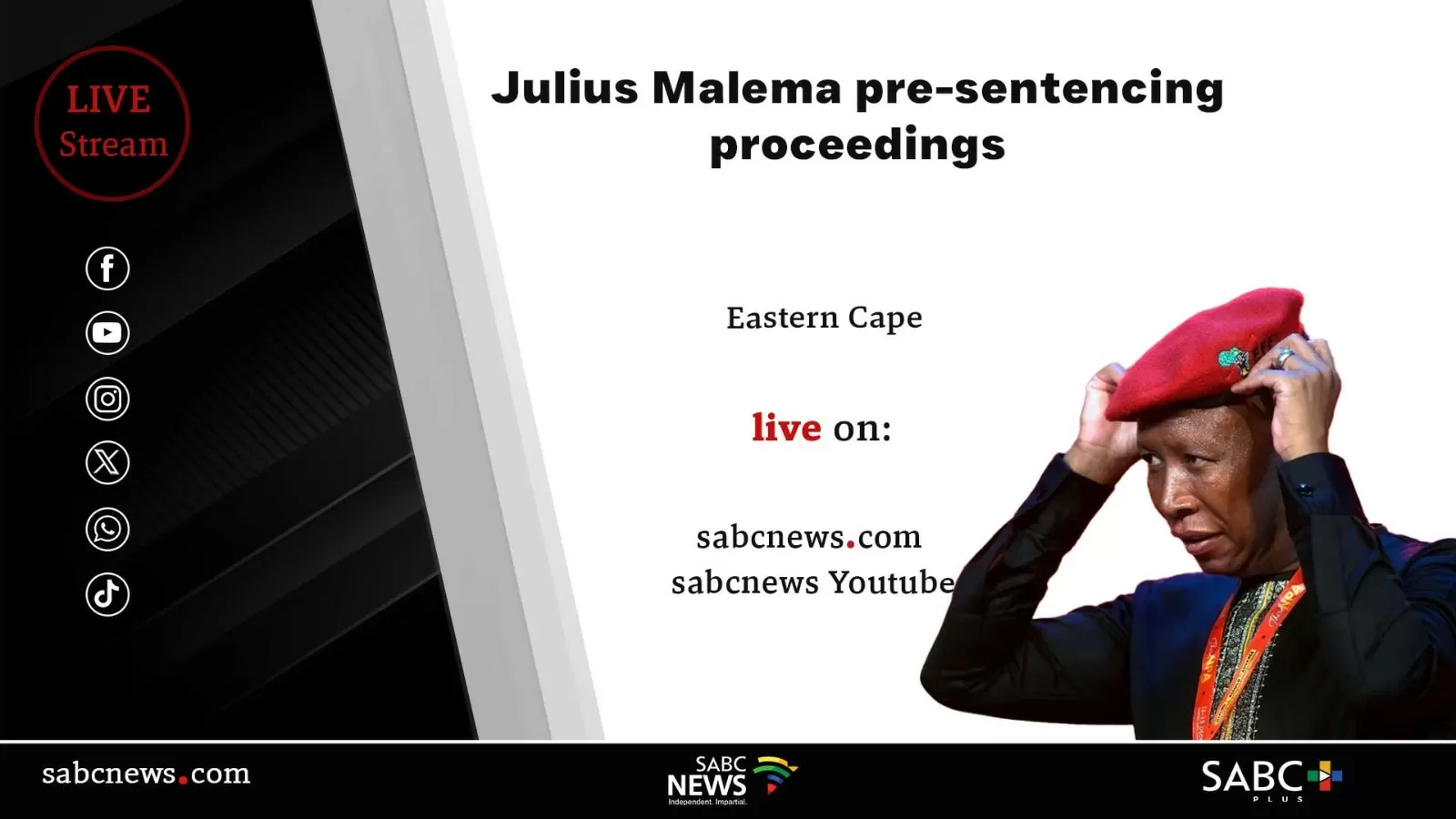 LIVE | Malema’s pre-sentencing hearing in firearm discharge case