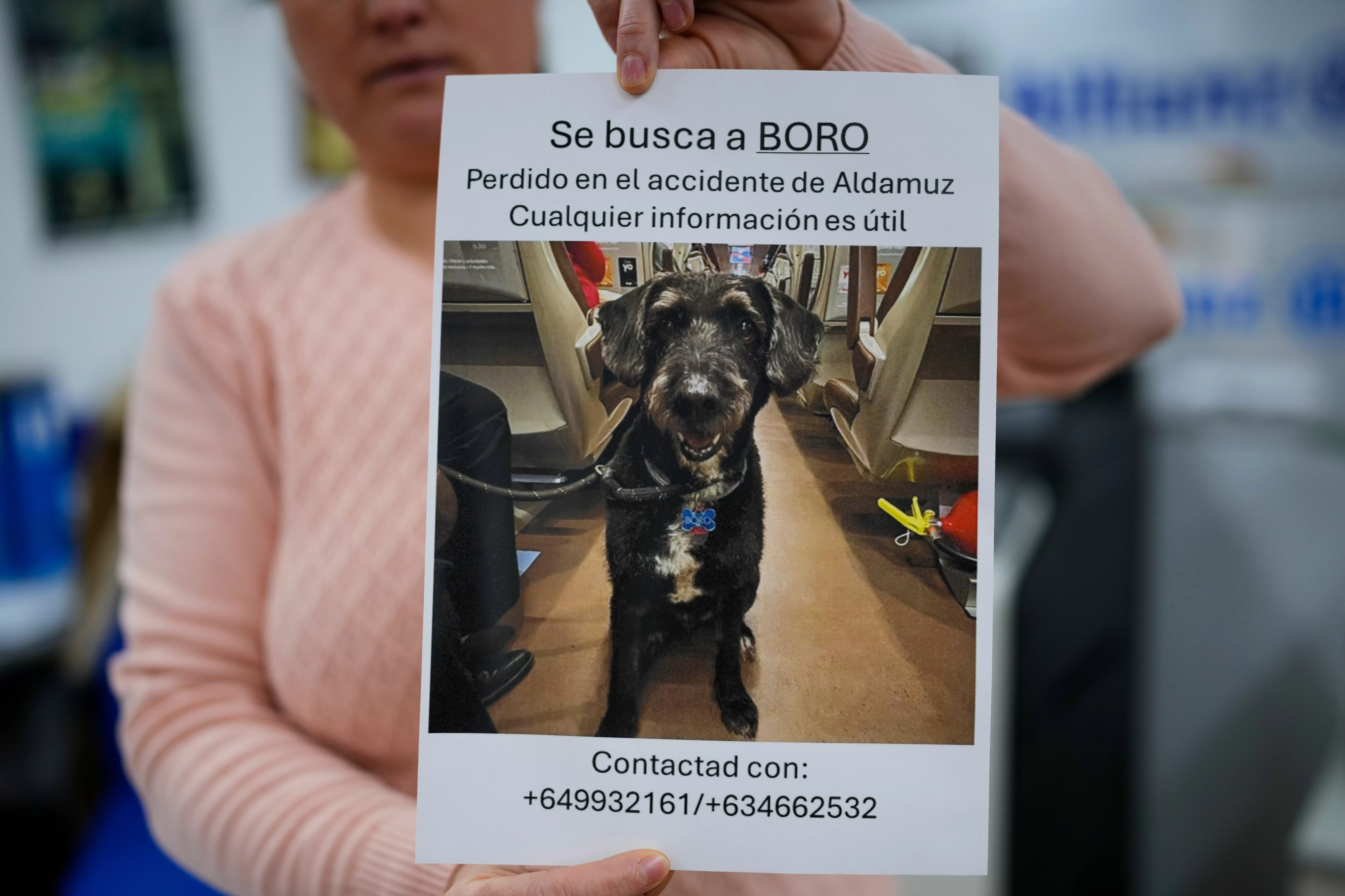 Boro the dog, missing after Spain train crash, found safe and reunited with owner