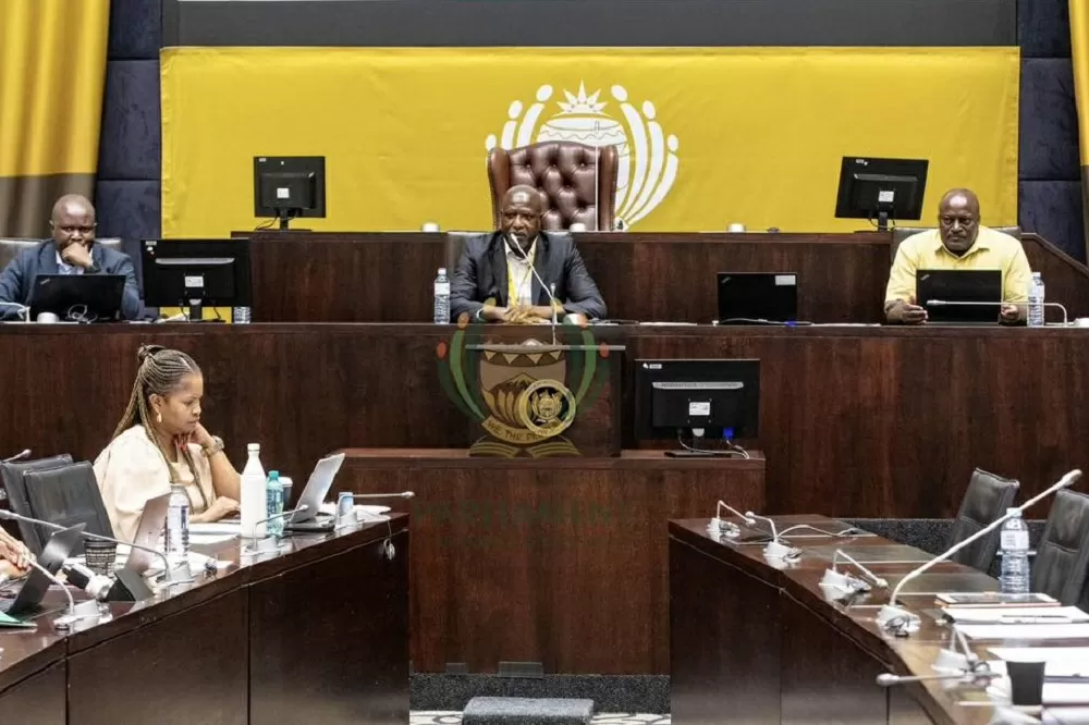 Some political parties grandstanding at Ad Hoc Committee: Lawson Naidoo