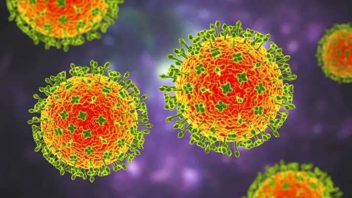 What is Nipah virus? What to know about the disease as India faces outbreak