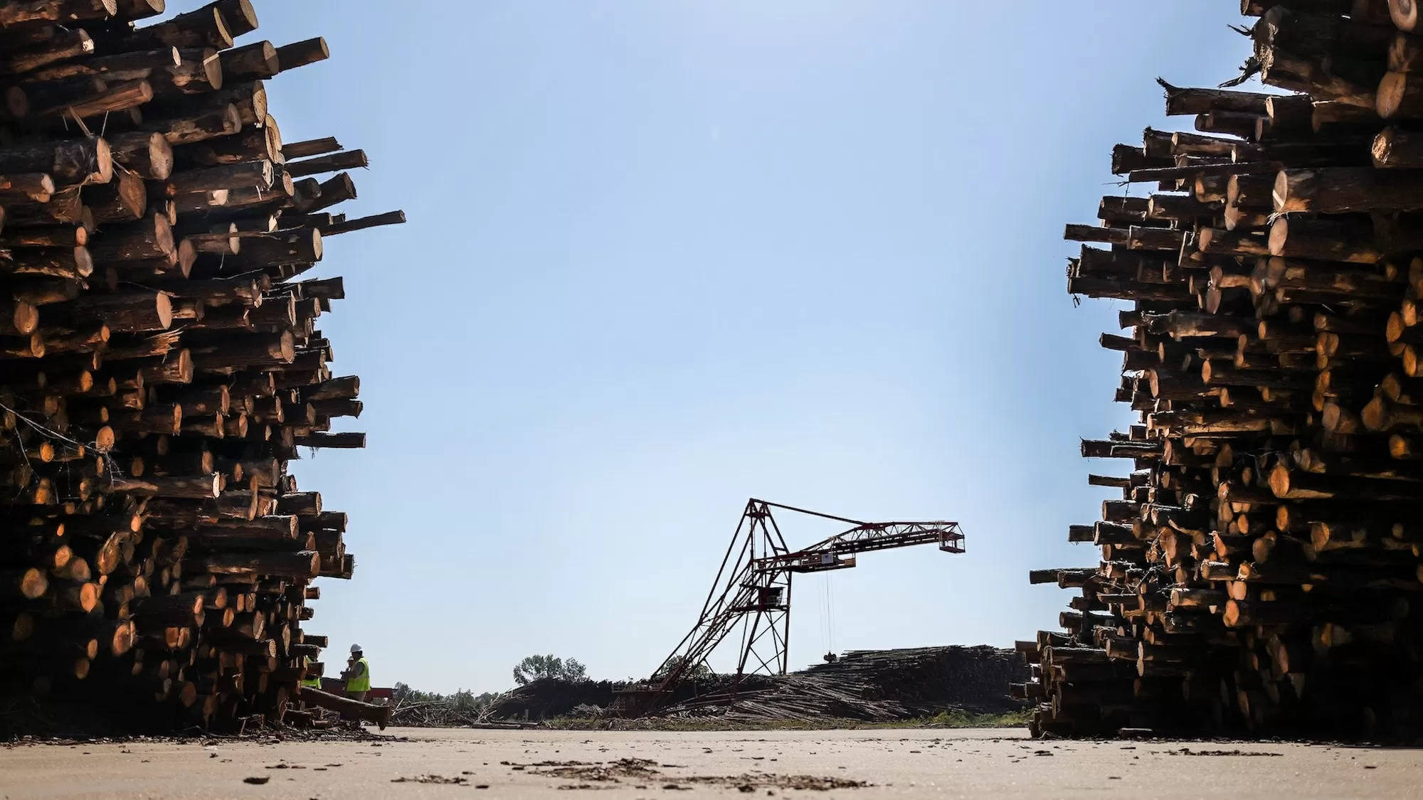 Europe gets ‘green energy.’ These Southern towns get dirty air.