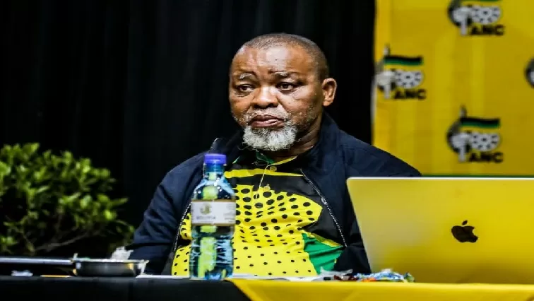 SACP putting itself at risk by contesting elections: Mantashe