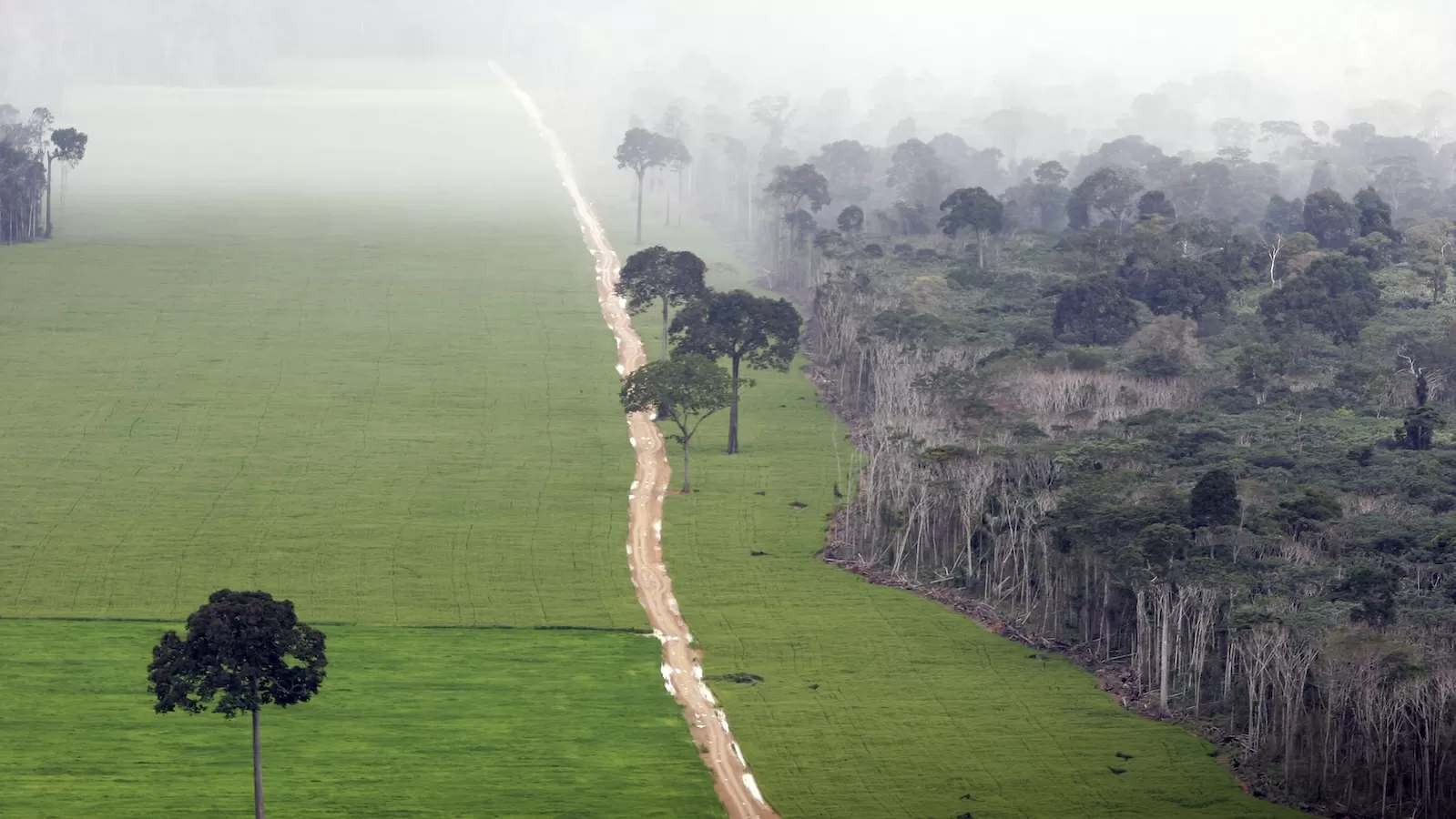 A major agreement to protect the Amazon is falling apart after 20 years