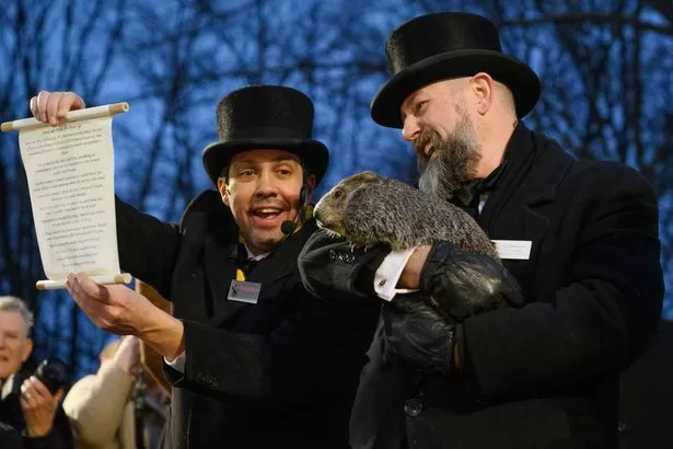 People are only just learning the real reason Groundhog Day is celebrated every year