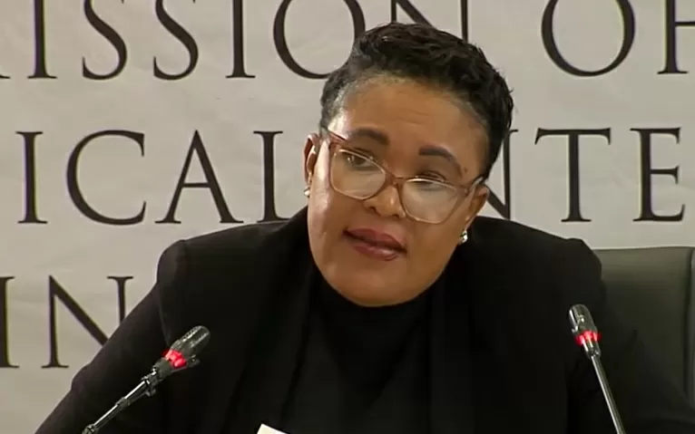 Madlanga Commission grills Matjeng over payments to friend’s butchery