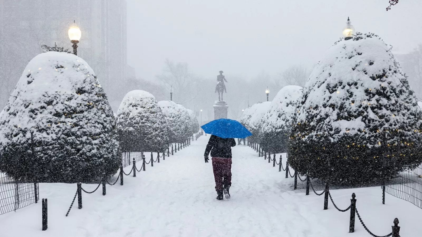 Offshore wind showed up big during the East Coast’s brutal cold