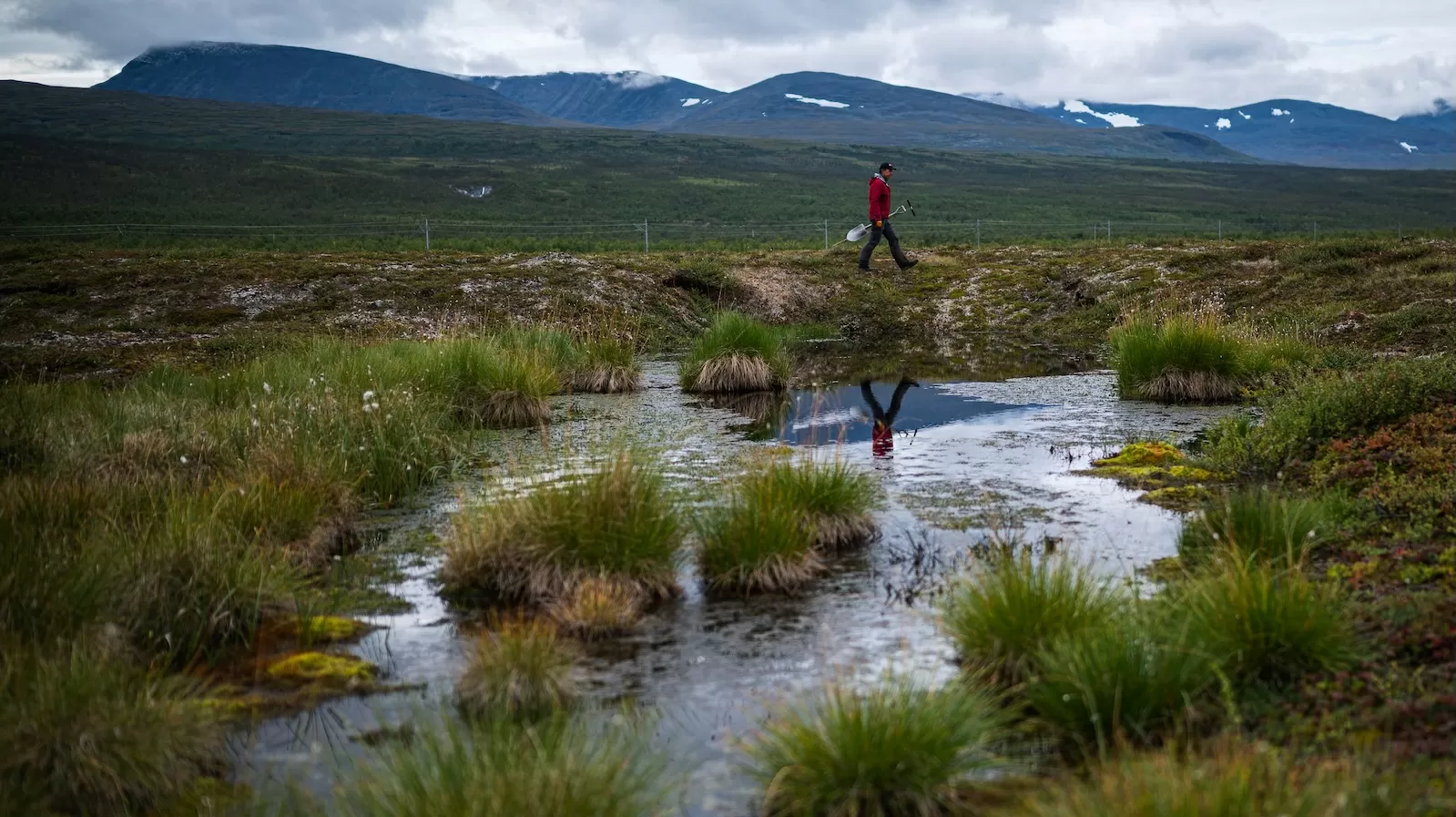 How a greening Arctic might be kick-starting a dangerous feedback loop