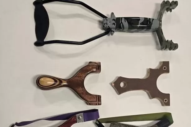 Slingshots used to damage property and harm animals in Welsh village