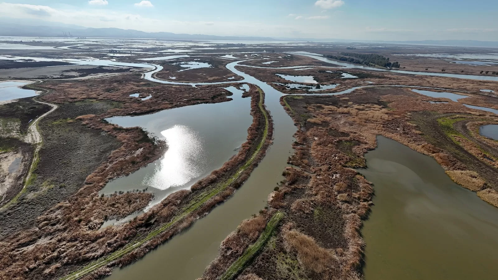 Inside the polarizing plan to stash carbon in a California wetland