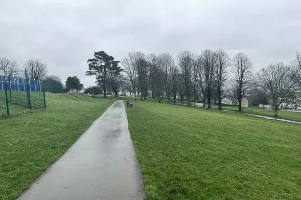 Football club battles council over use of park
