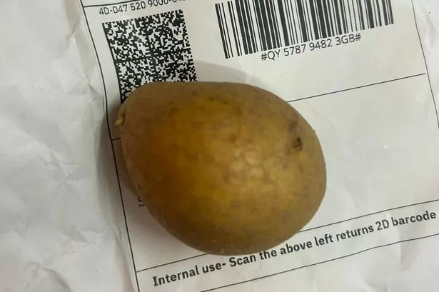 Tiny food items randomly posted to pubs and cafes in Welsh city mystery