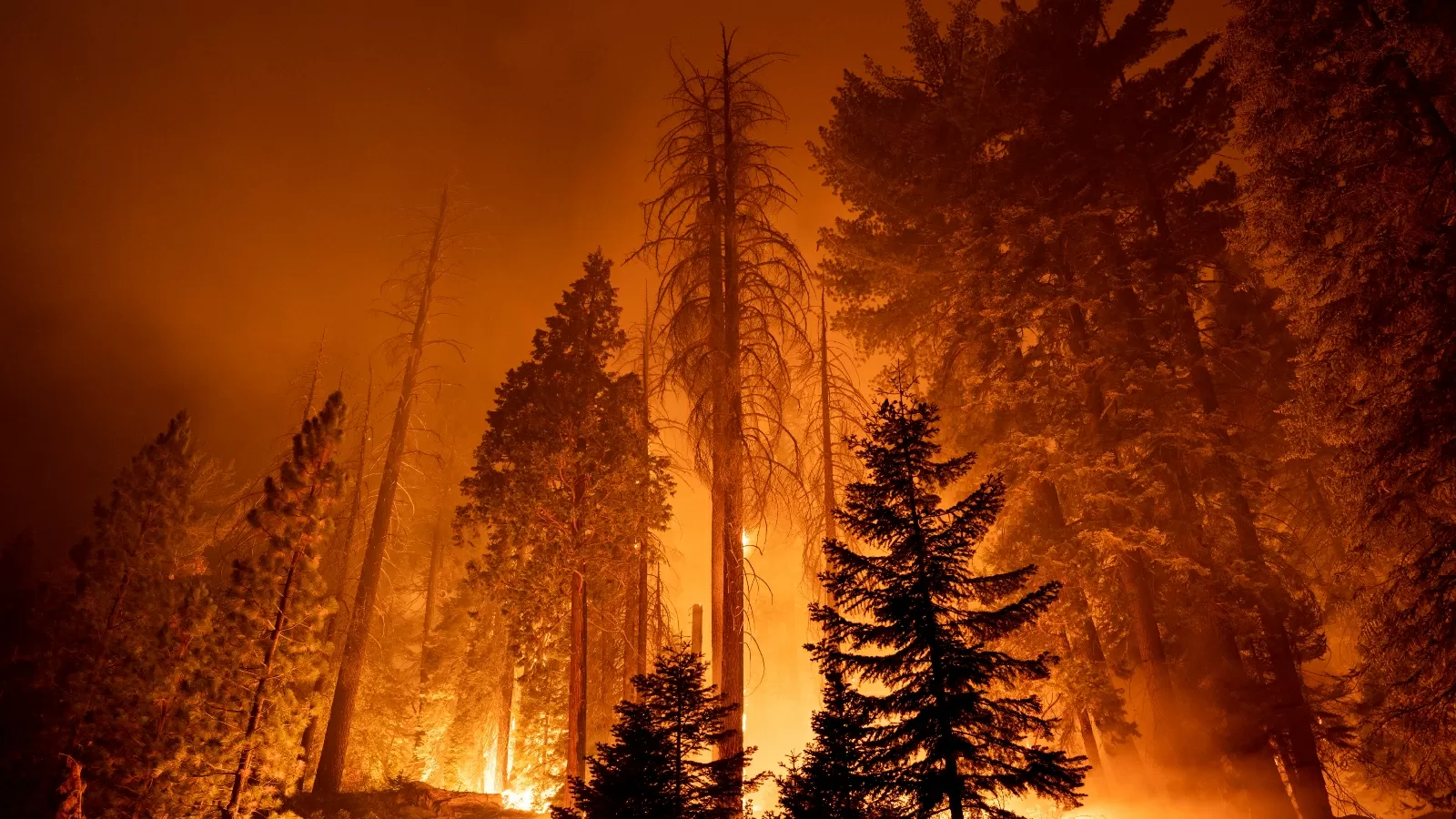Overshoot: The world is hitting point of no return on climate
