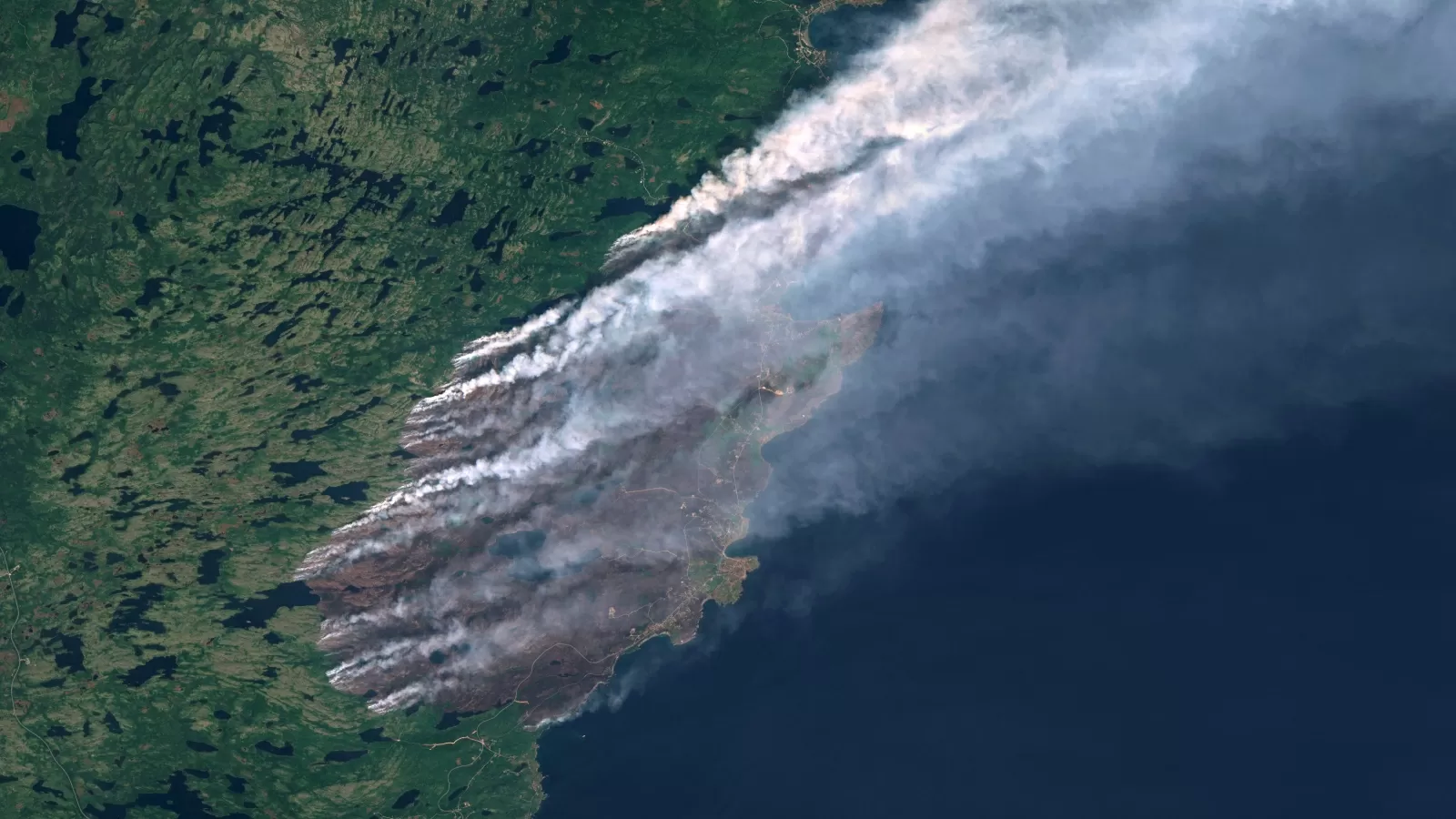 Scientists have found another alarming pattern in wildfires