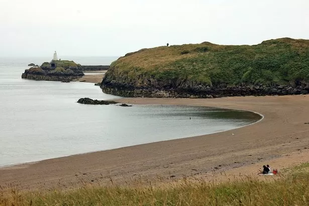 Strict new rules proposed for dog walkers on dozens of Welsh beaches