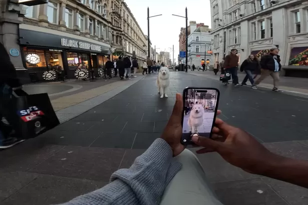 'UK's most famous dog' visits Cardiff and something amazing happens
