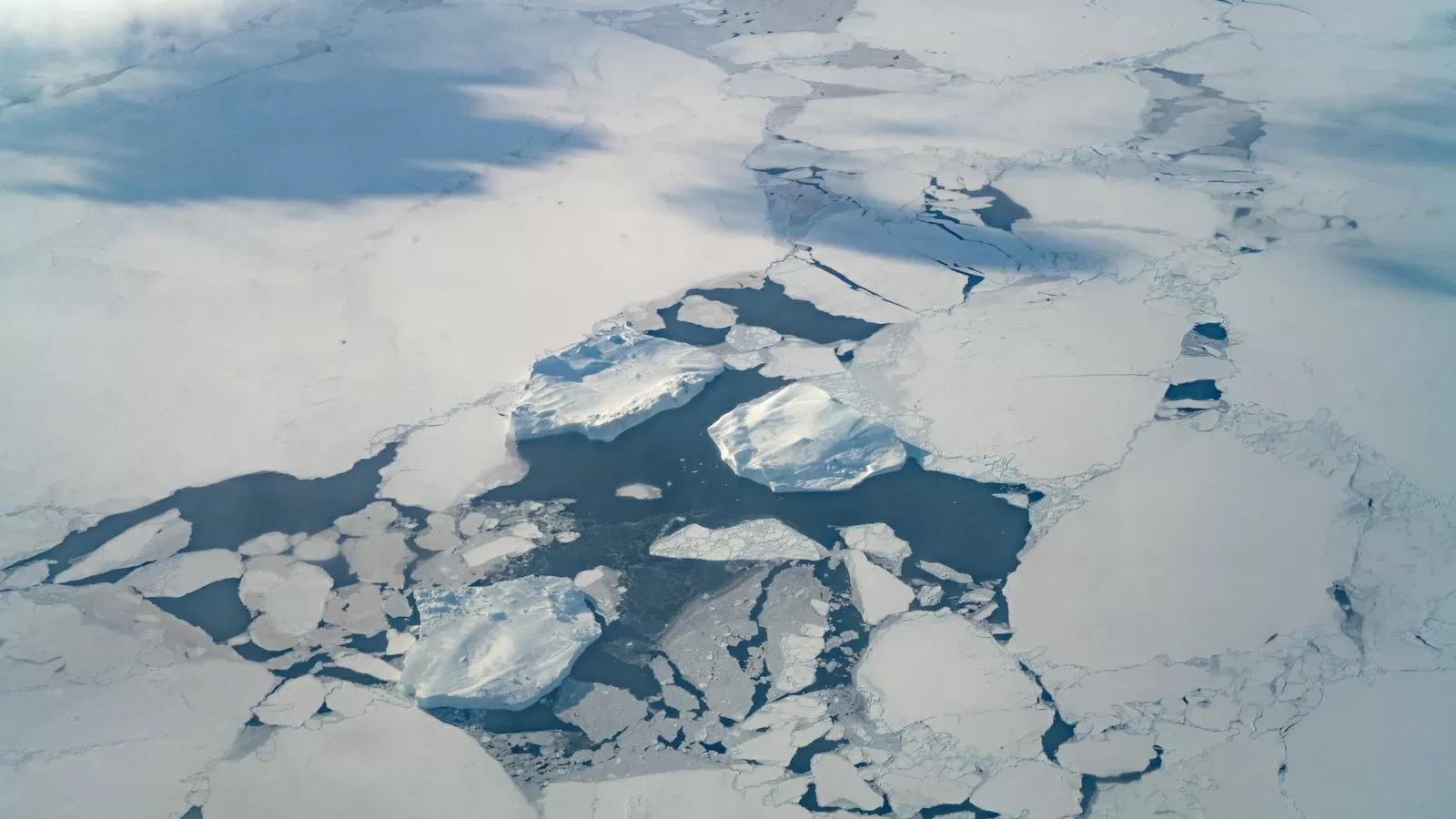 Oceans are absorbing the Earth’s excess energy. That’s bad news for food systems.