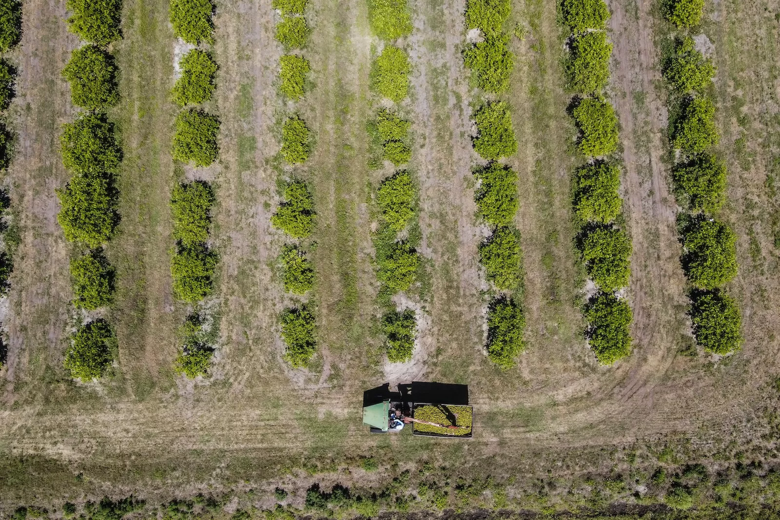 With its new farm bill, Florida’s climate fight just hit a tractor-sized roadblock