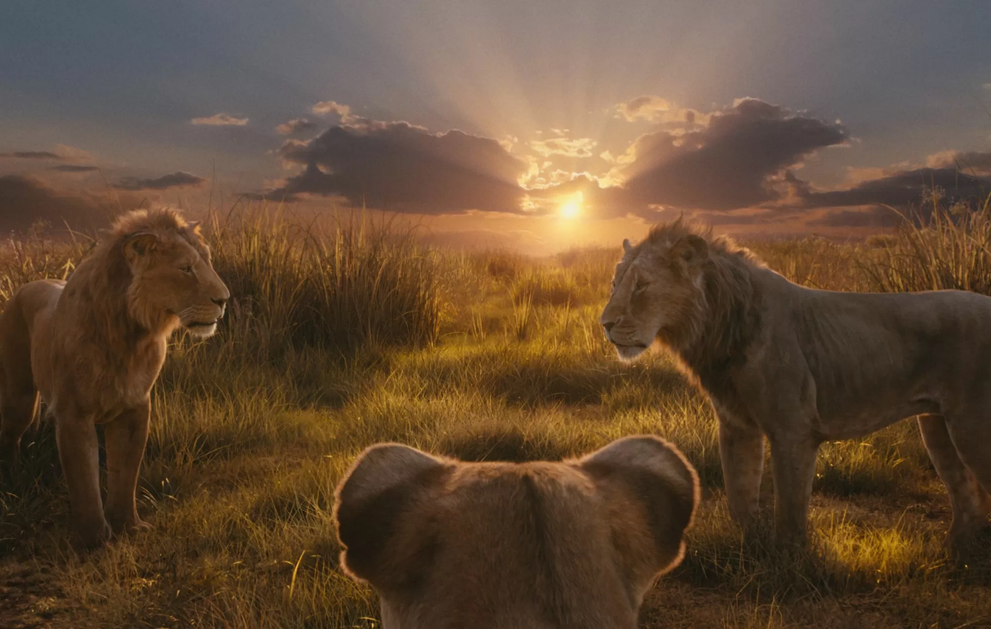 ‘The Lion King’ composer suing comedian for viral mistranslation of iconic theme