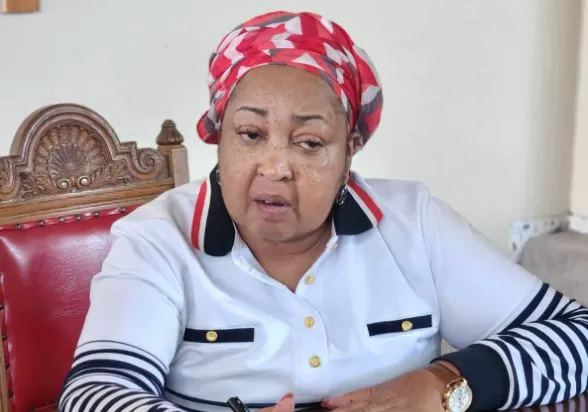 Maluti-A-Phofung Mayor removed after no confidence vote