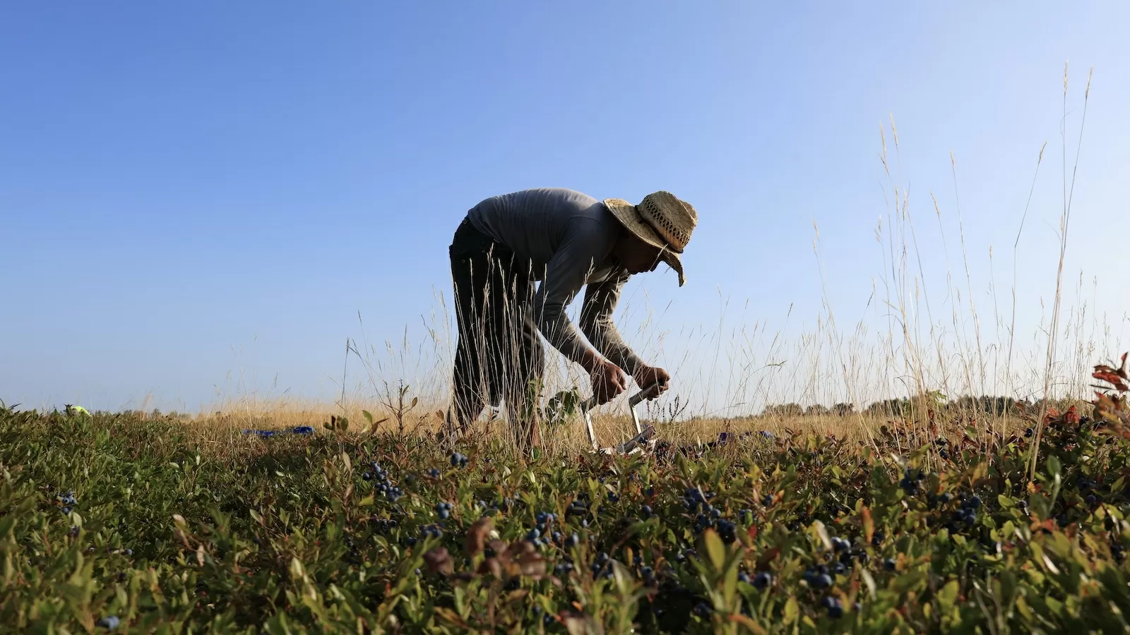 After a lawsuit, USDA agrees to share climate risk data with farmers
