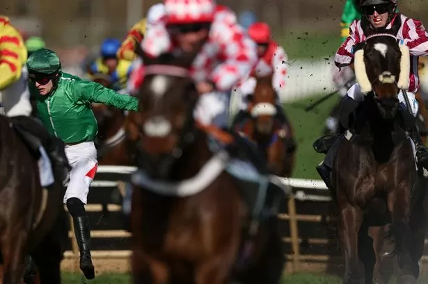 Cheltenham Festival horse HMS Seahorse dies after second day of racing after failing jump