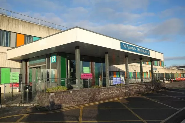 'I saw a woman die alone in a Welsh A&E department - nobody held her hand'
