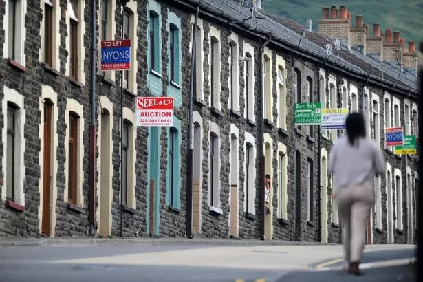 There's good and bad news in this Welsh council's plan for the next year - and both affect you