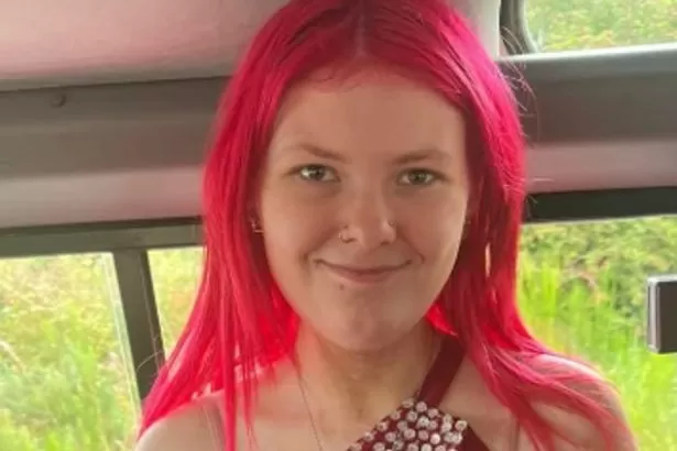 Girl disappears in early hours