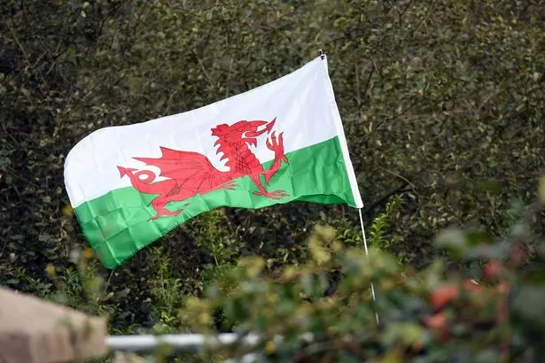 Reform and Plaid neck-and-neck in Senedd race while Greens double support in new poll
