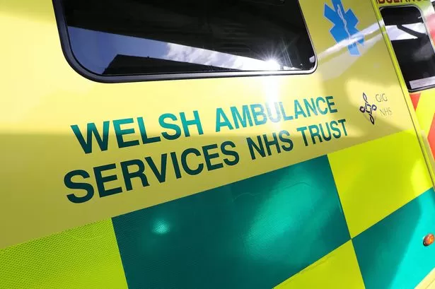 Woman dies after 23-hour ambulance wait following stroke
