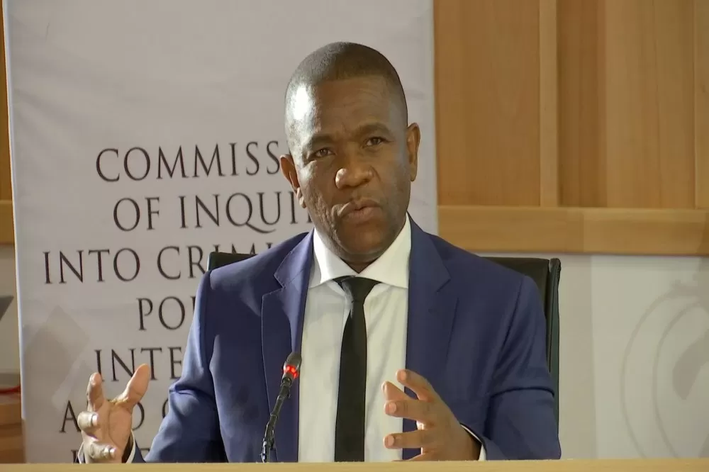 Nhlanhla Mkhwanazi returns to Parly’s Ad Hoc Committee