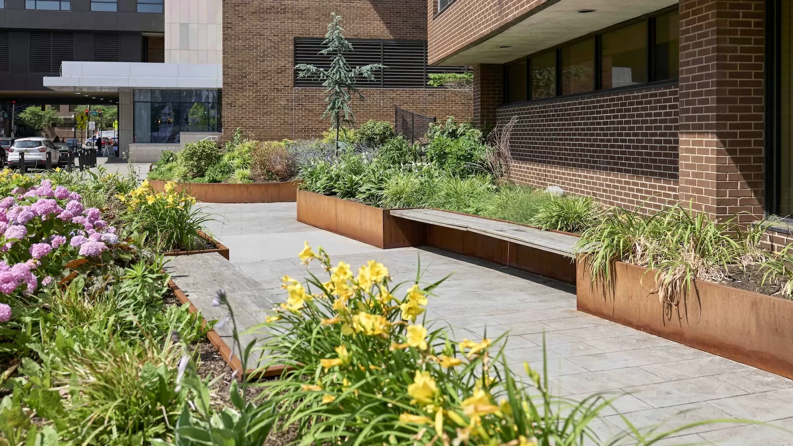 Pocket gardens: The tiny urban oases with surprisingly big benefits