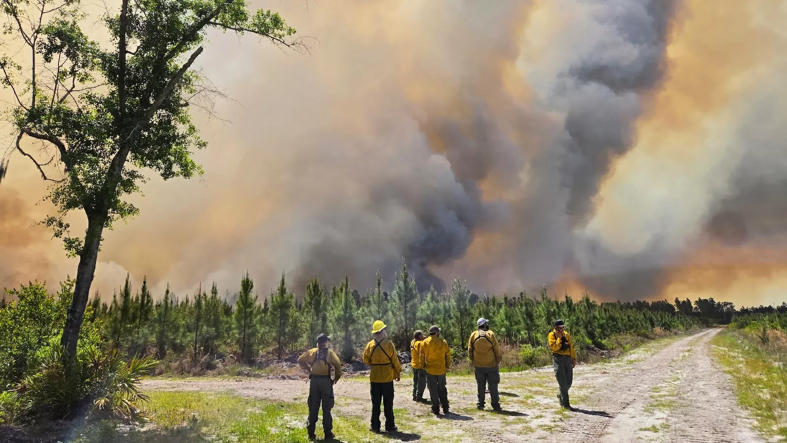 What’s driving the catastrophic wildfires in Georgia