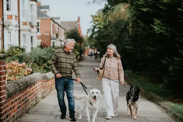 Dog trainer reveals little-known reason why your pet barks on walks