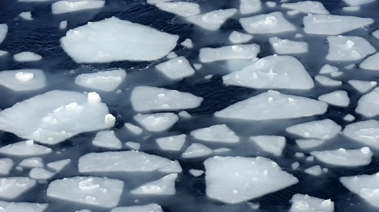 Deep-diving robots help crack the mystery of Antarctica’s vanishing sea ice