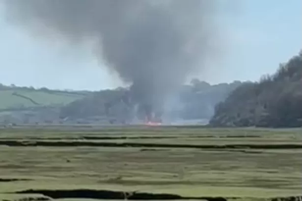 Multiple fires deliberately set near Welsh Castle