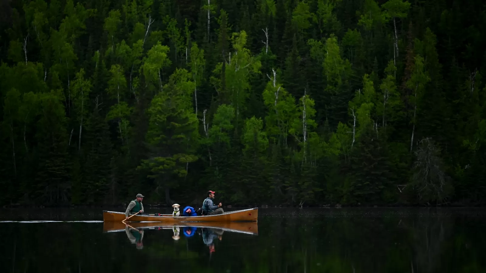Republicans deploy little-known law to open Minnesota wilderness to mining