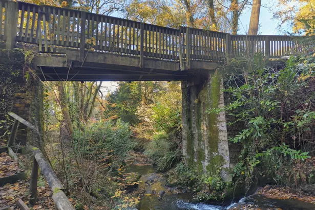 Elderly man taken to hospital following alleged assault in Welsh park
