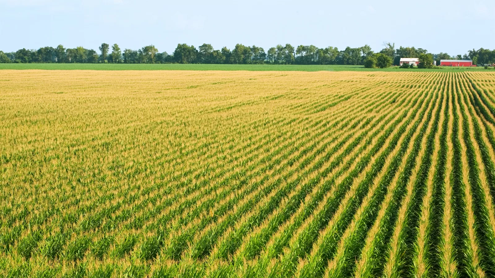 Climate experts say spring is coming earlier. How will that affect agriculture and ecosystems?