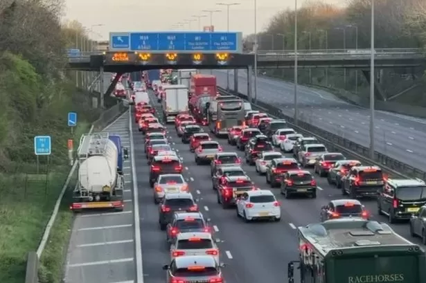 Man armed with spiked piece of wood shut one of UK's busiest motorways for two hours