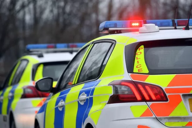 Woman injured in town centre dog attack