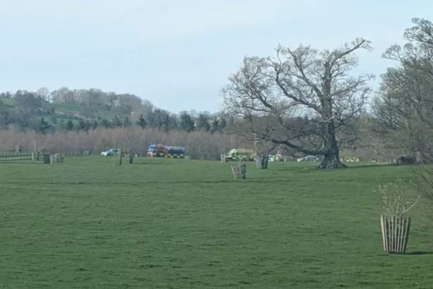 Body found in search for teenager seen entering lake in grounds of Welsh castle