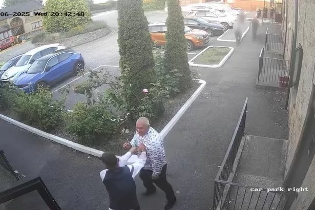 Dog groomer attacked by rival's husband after winning award