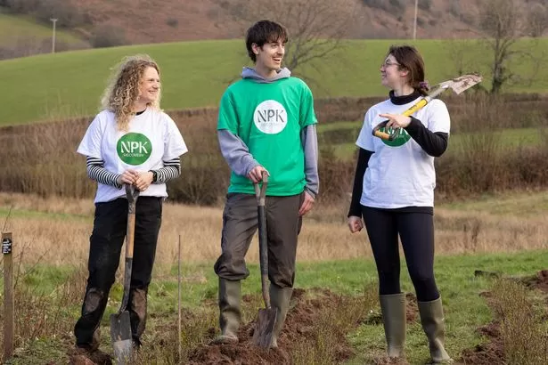 Human wee to be used to grow trees in Wales