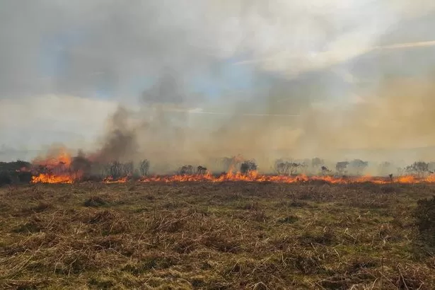Massive fire at beauty spot sparks huge emergency service response