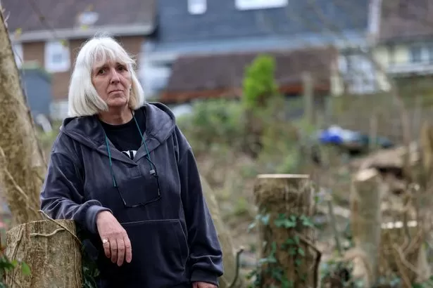 Work has started for new Cardiff housing estate and neighbours are already angry