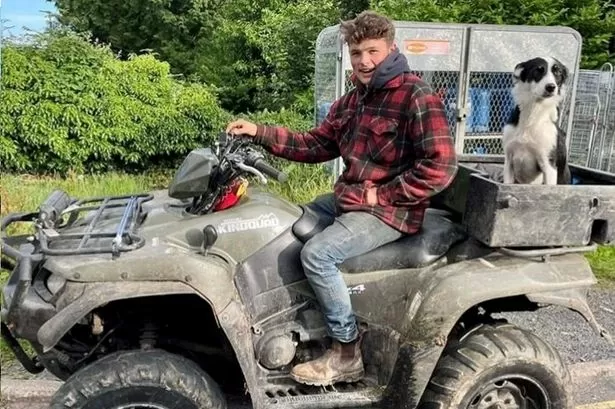 Teenage farm worker crushed to death by malfunctioning equipment