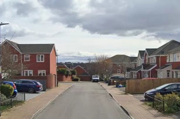 Man, 28, found dead after days-long binge